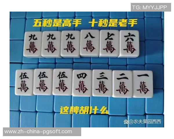 186棋牌麻将胡了怎么玩-揭秘186棋牌麻将高手进阶—从麻将新手到精英,教你胡牌的神秘奥秘!186棋牌麻将胡了怎么玩